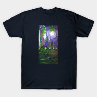 Solstice Stroll T-Shirt